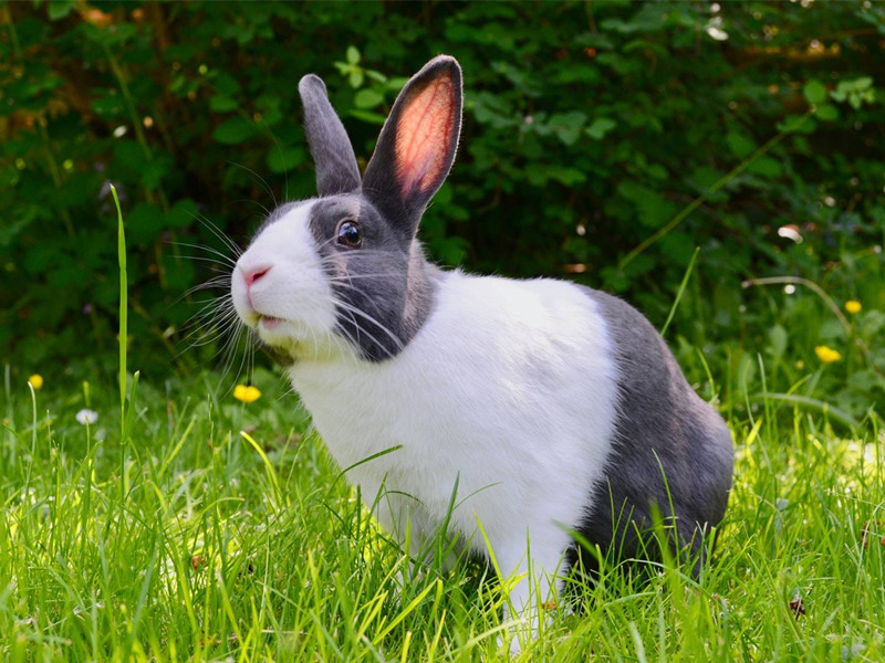 1667033392141089.jpg 8.jpg