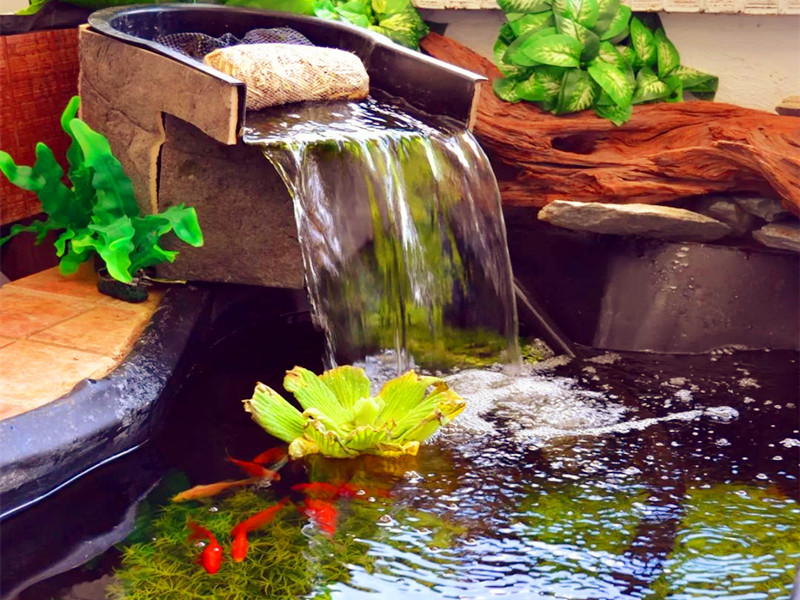 1670921017154385.jpg 2.jpg