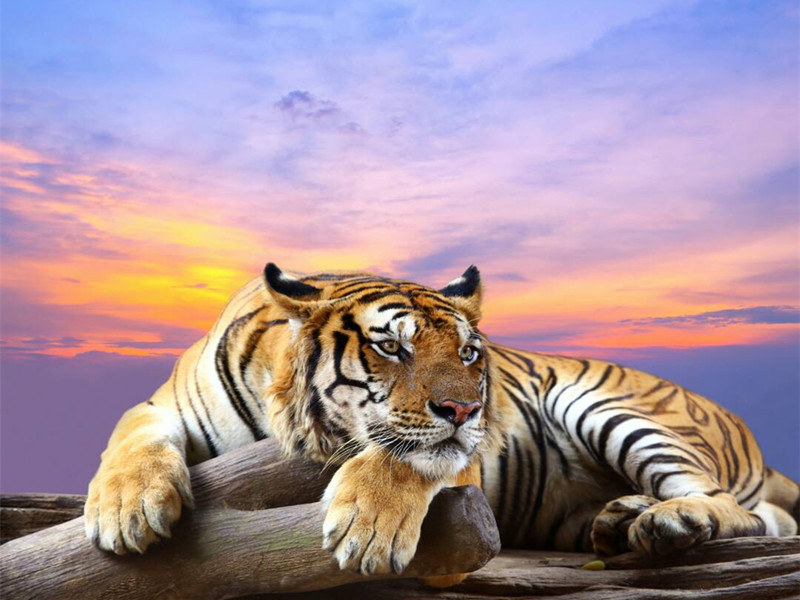 1672563886152354.jpg 03.jpg