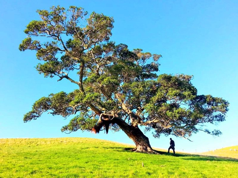 1673320605535747.jpg 02.jpg