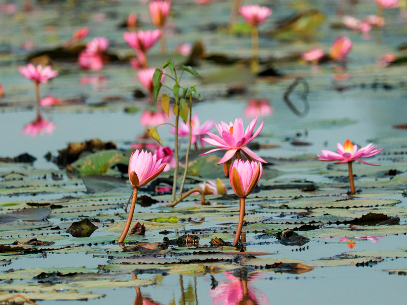 1674894764391353.jpg 2.jpg