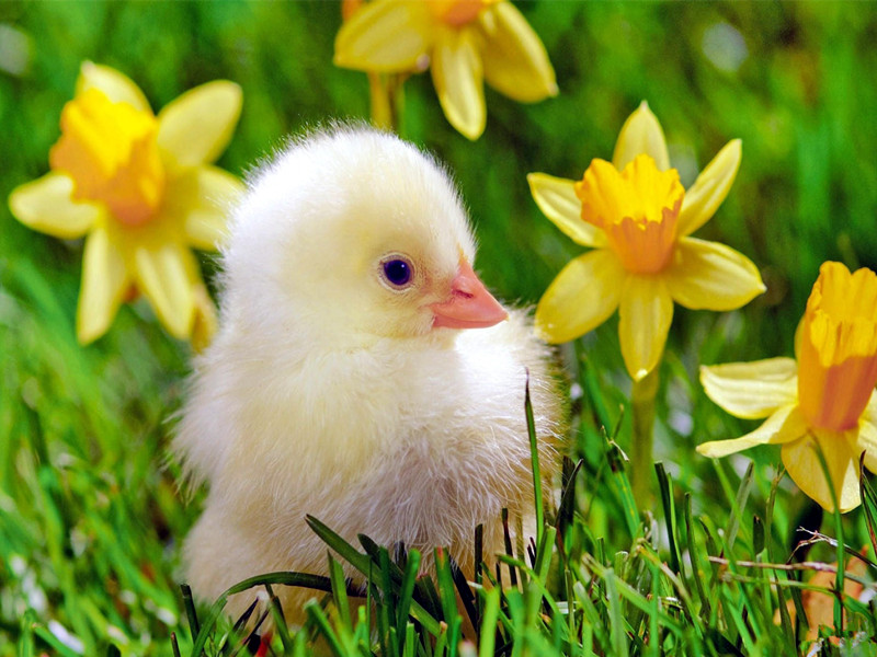 1674981752656536.jpg 1.jpg