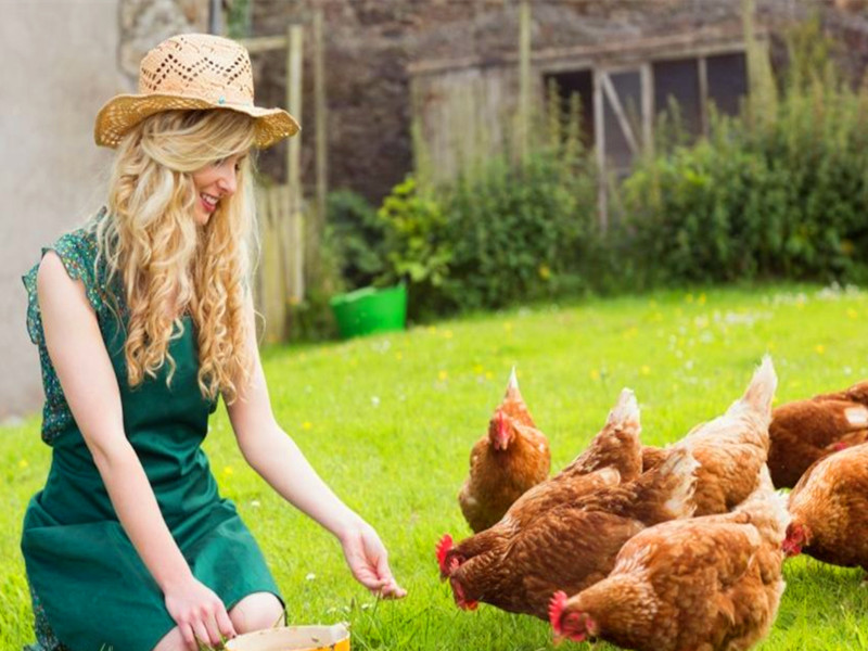 1674981764169475.jpg 2.jpg