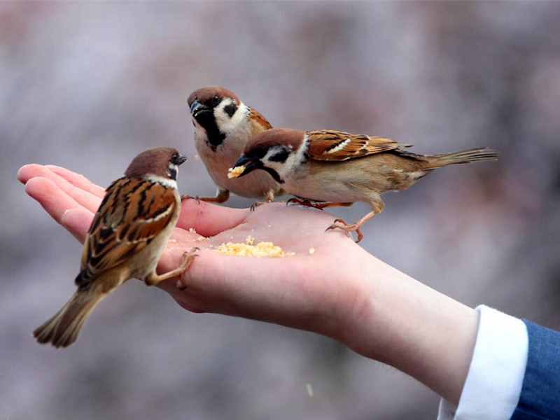 1675051446182164.jpg 02.jpg