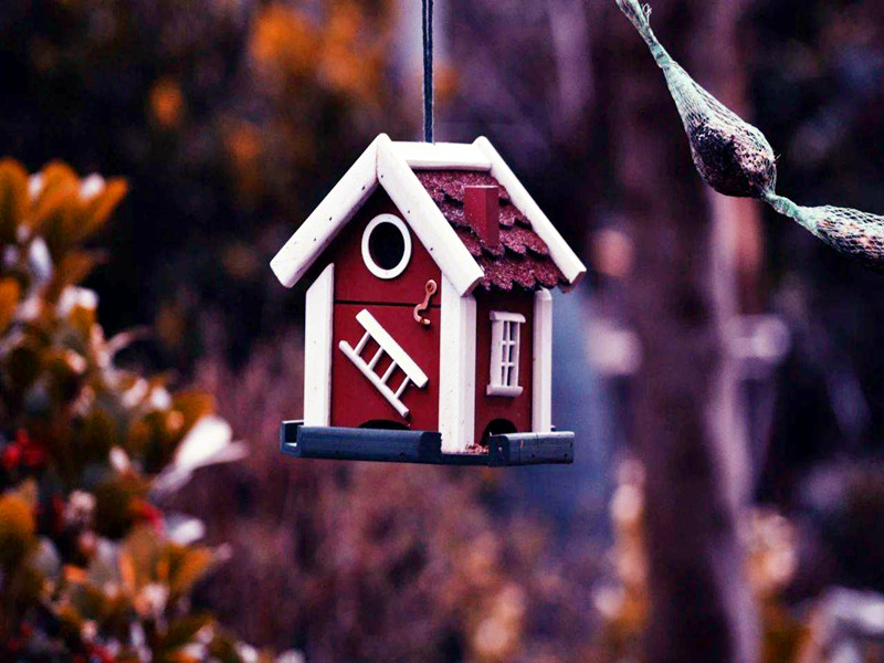 1675569037325098.jpg 01.jpg