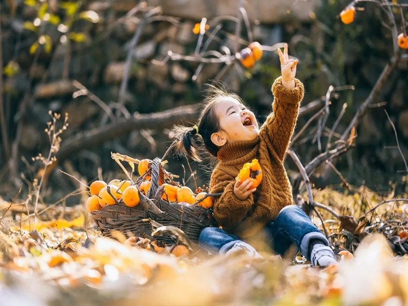 1675654080495317.jpg 03.jpg