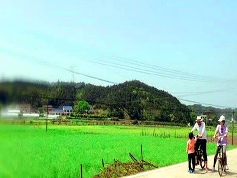 1676691436167507.jpg 01.jpg