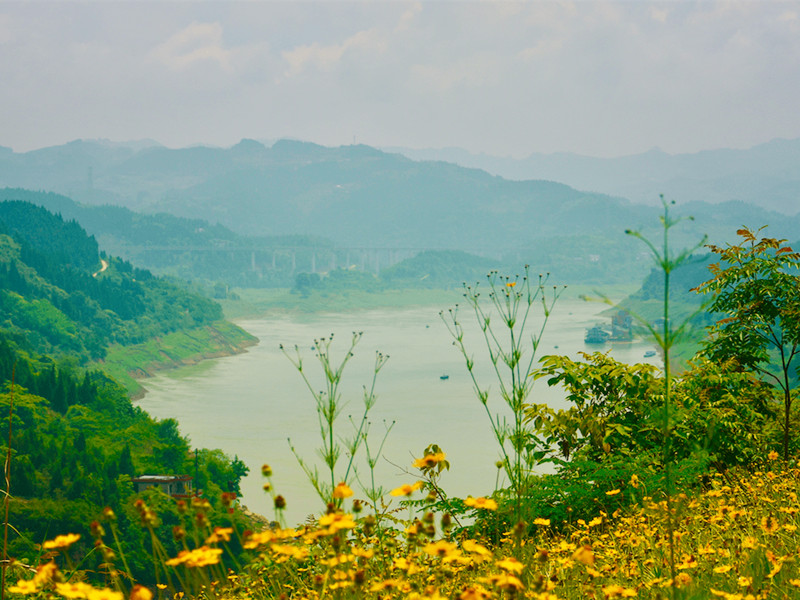 1677036583177177.jpg 03.jpg