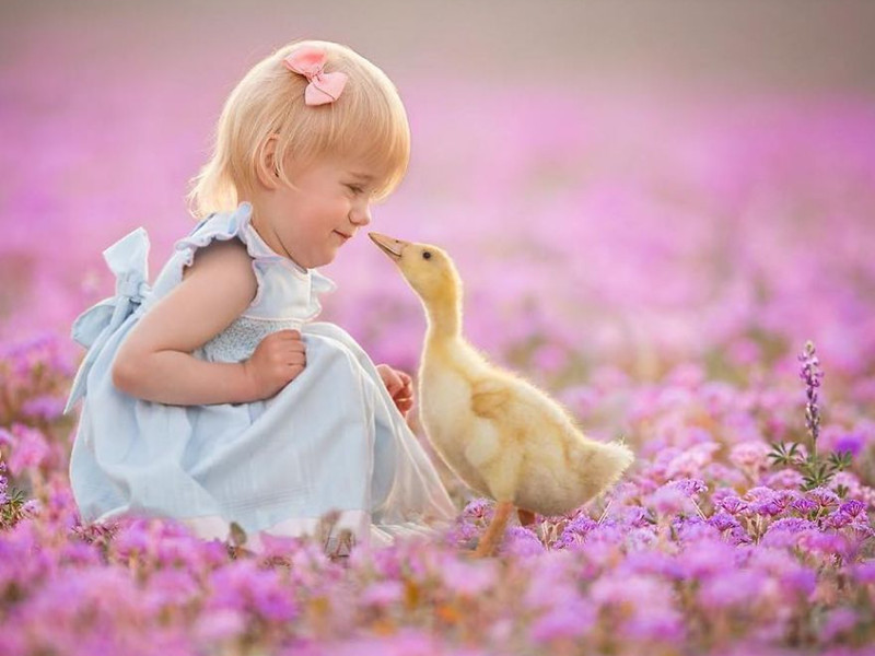 1679886950106072.jpg 01.jpg