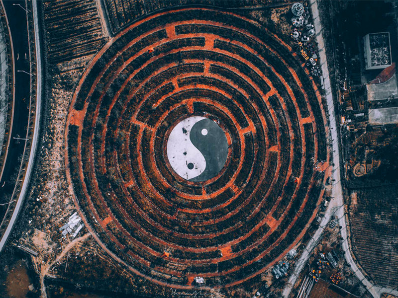 1680493511127093.jpg 01.jpg