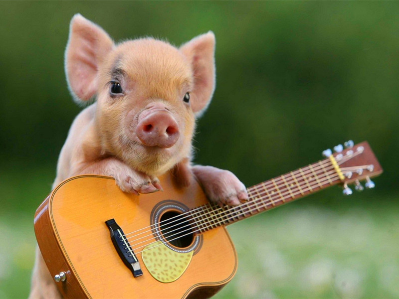 1684049221118211.jpg 3.jpg