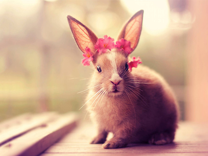 1684653441526429.jpg 1.jpg