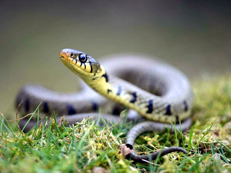 1685261073185873.jpg 16.jpg