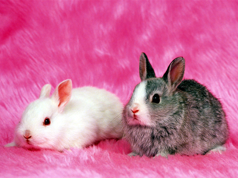 1685677052265992.jpg 01.jpg