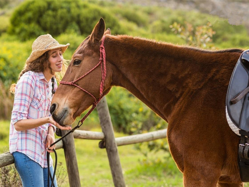 1686470320197010.jpg 1.jpg