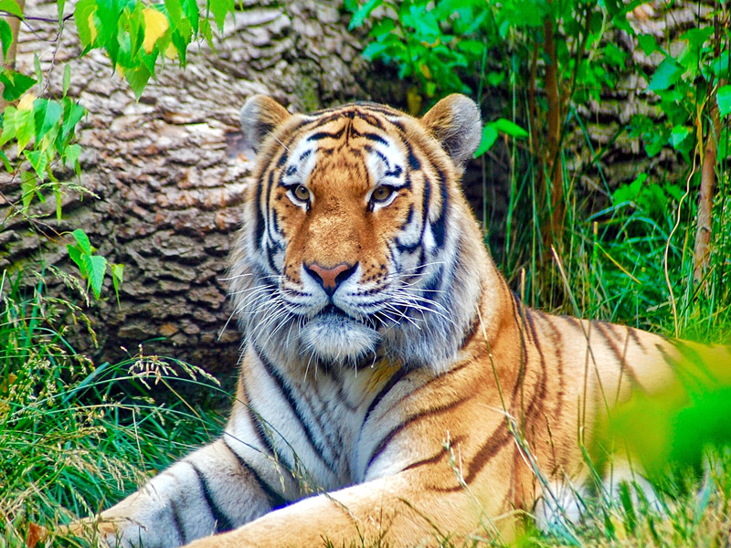 1687073486111272.jpg 1.jpg