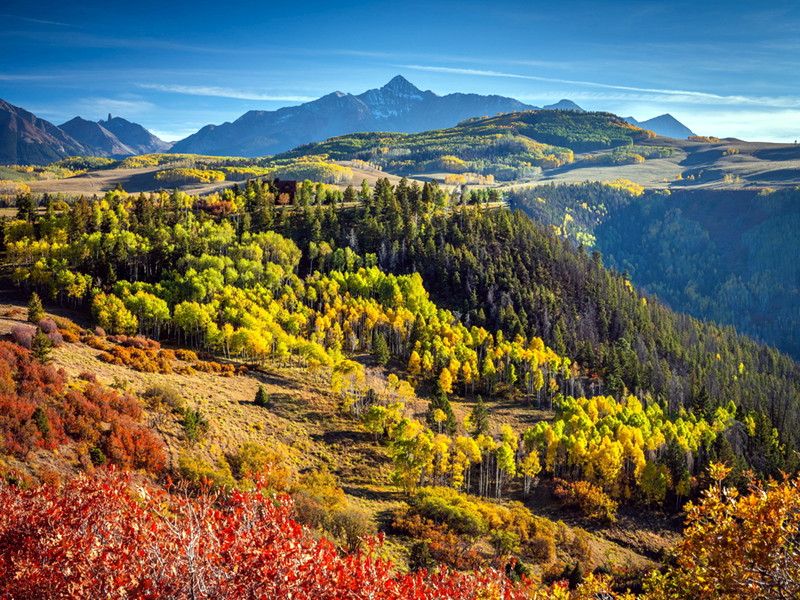 1688009119157323.jpg 01.jpg