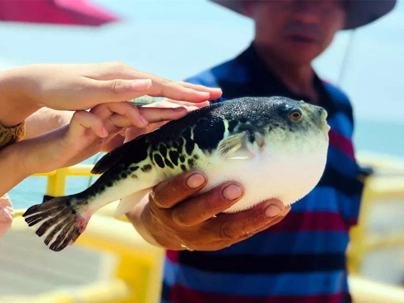 1688197797179595.jpg 3.jpg