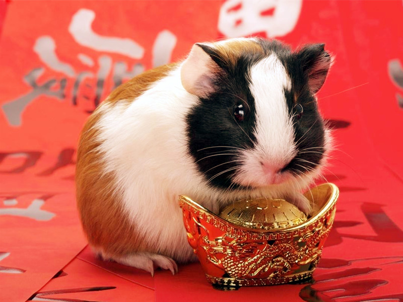 1688891596102540.jpg 8.jpg