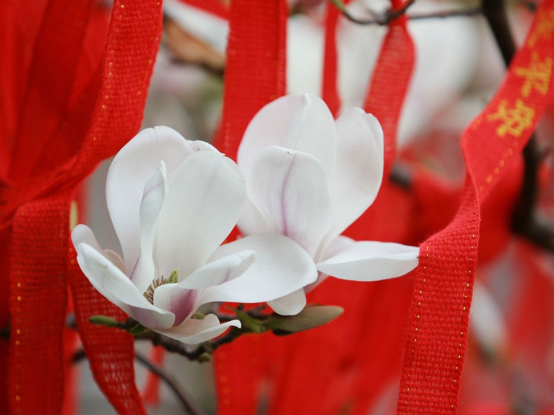 1689409080493939.jpg 2.jpg