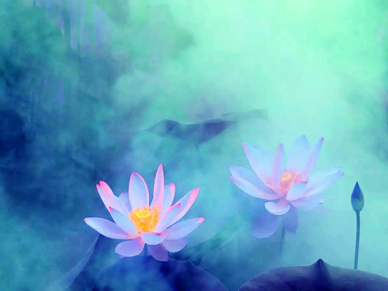 1689910596125567.jpg 02.jpg