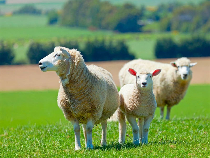 1690704127914673.jpg 1.jpg