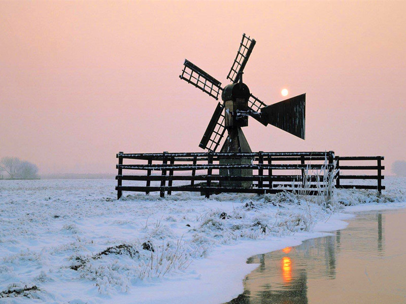 1691222480122772.jpg 9.jpg