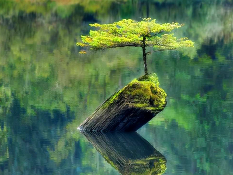 1691293331115077.jpg 03.jpg