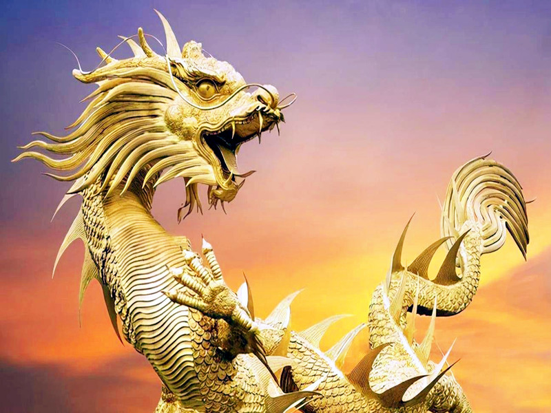 1693122875117944.jpg 20.jpg