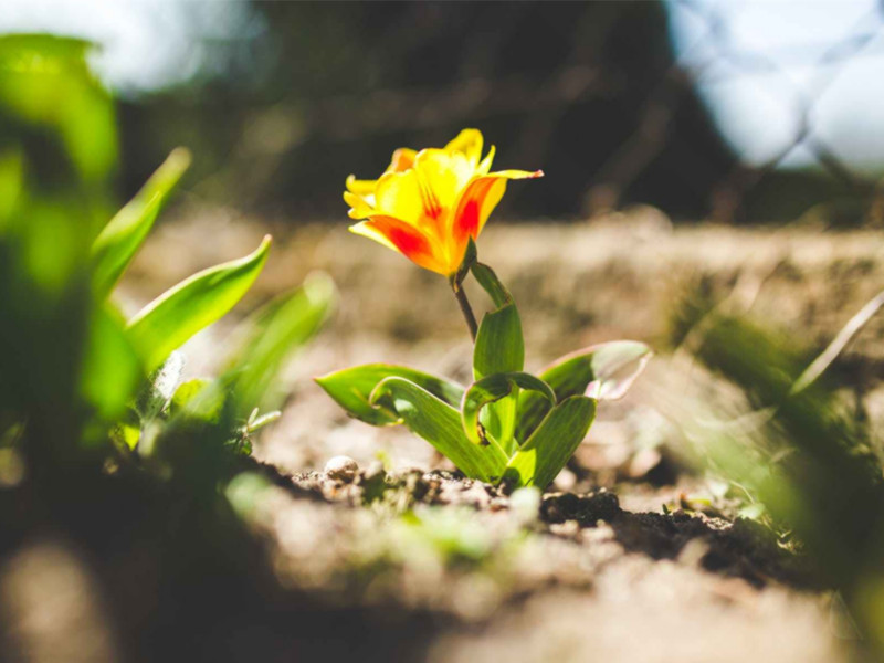 1693986933998305.jpg 37.jpg