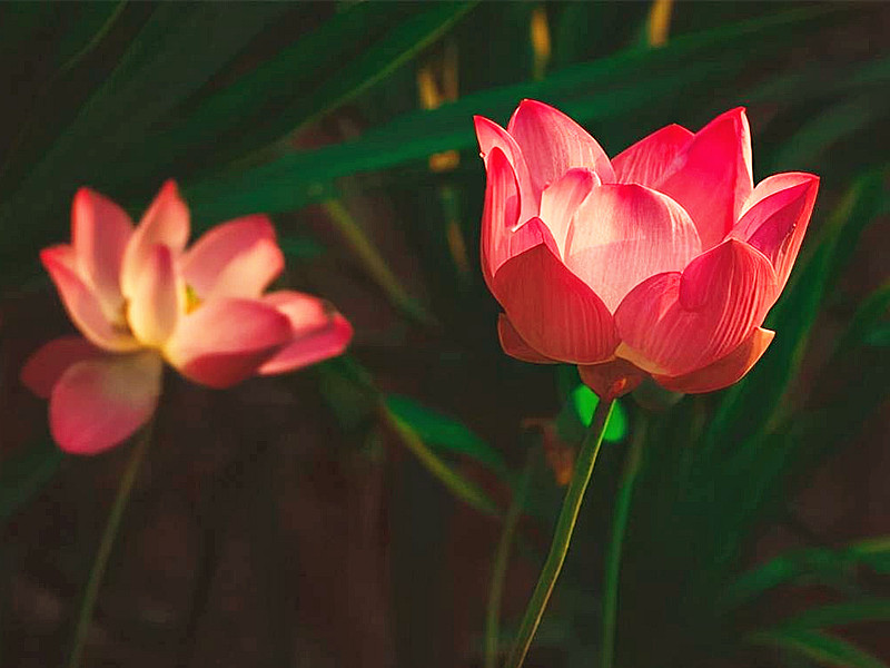 1694318075100314.jpg 01.jpg