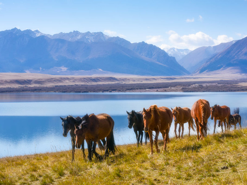 1694936595487145.jpg 3.jpg