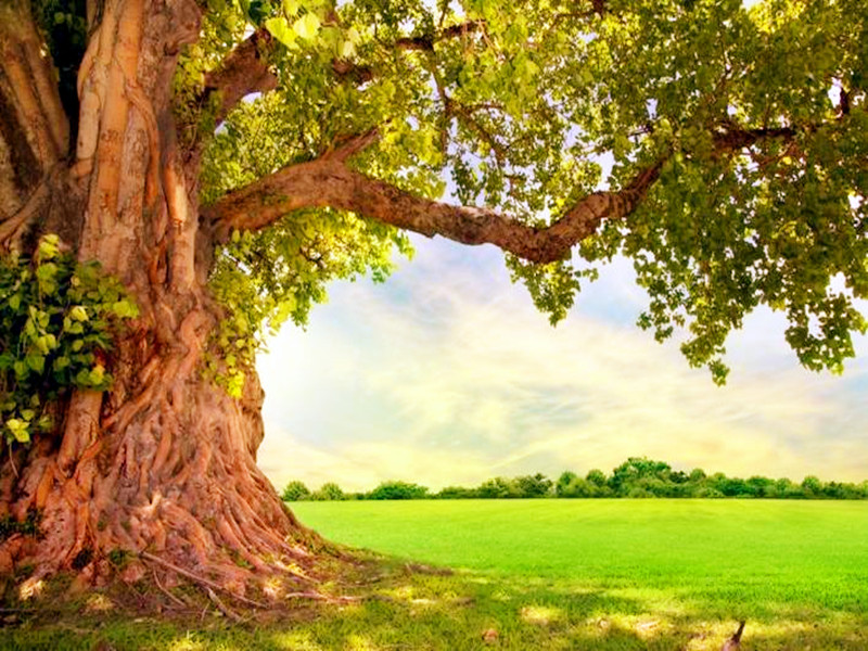 1695874387199536.jpg 02.jpg