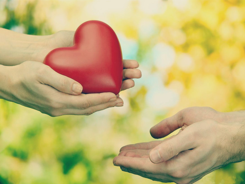 1696391199184769.jpg 02.jpg