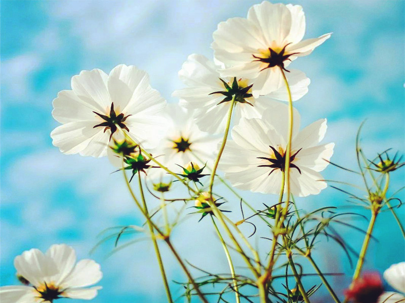 1696737238118871.jpg 01.jpg