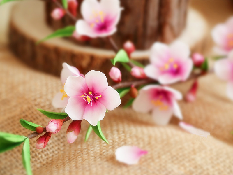 1696910027183893.jpg 02.jpg