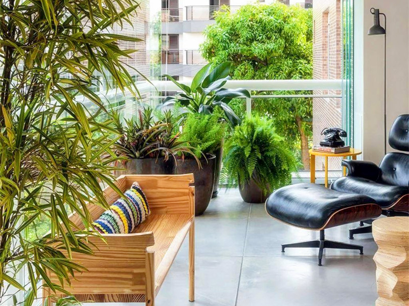 1696925546152957.jpg 29.jpg