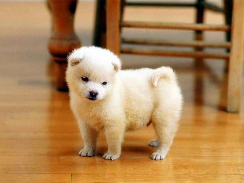 1697959604358444.jpg 13.jpg