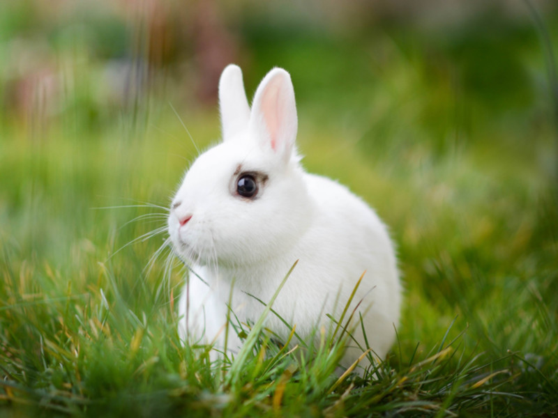 1698565530200611.jpg 23.jpg