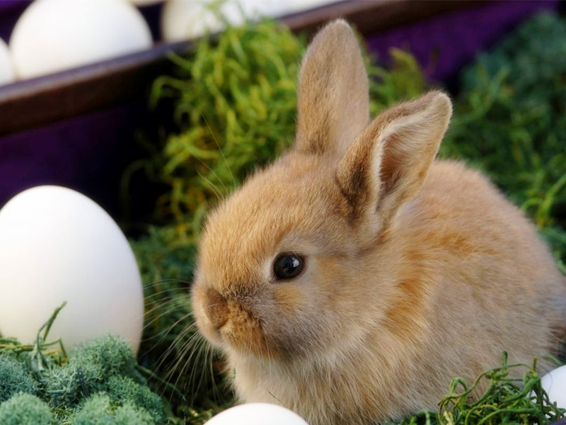 1698565542154009.jpg 24.jpg