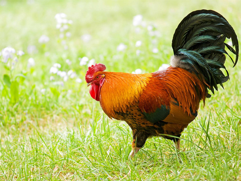 1700033941209754.jpg 55.jpg