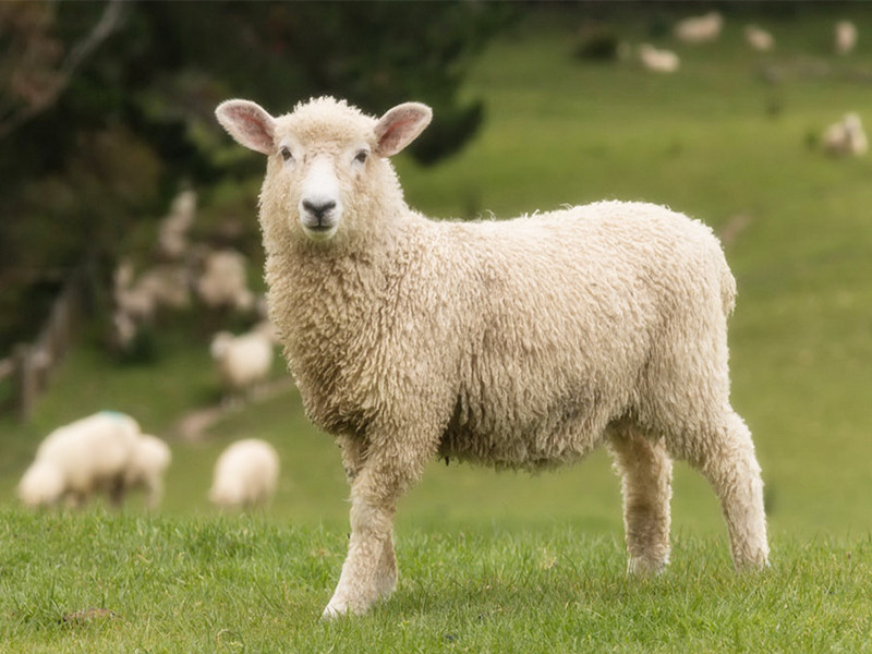 1700377031183971.jpg 4.jpg