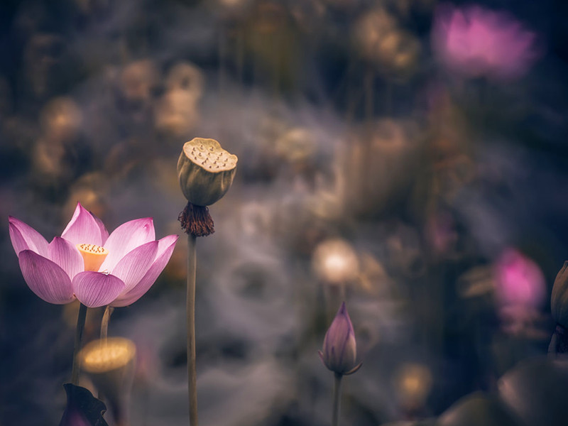 1700637020211222.jpg 8.jpg