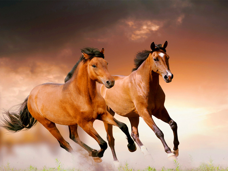 1701587165197969.jpg 30.jpg