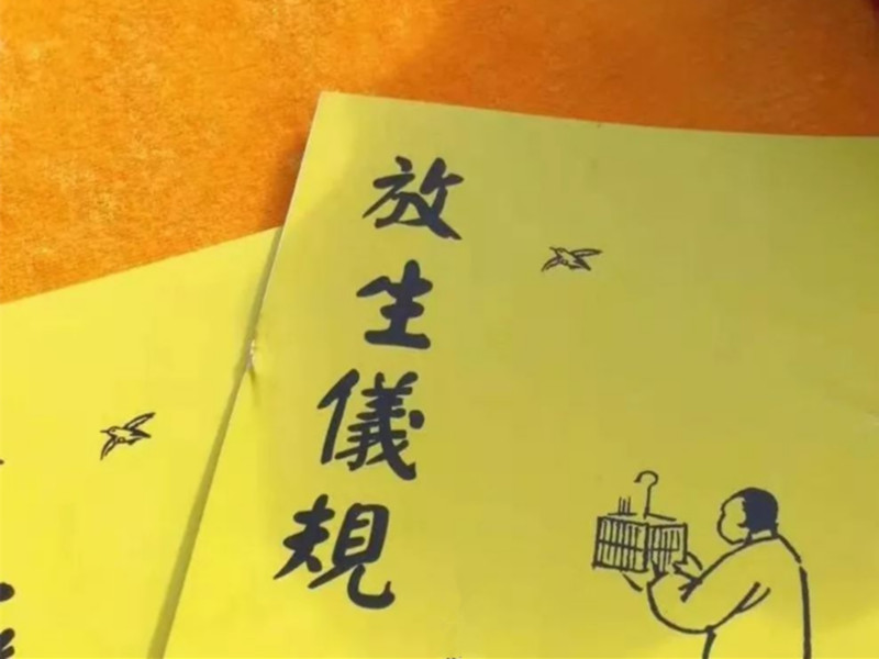 1701674440145530.jpg 31.jpg