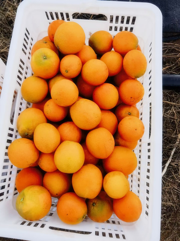 1701835281108070.jpg QQ圖片20231206115704.jpg