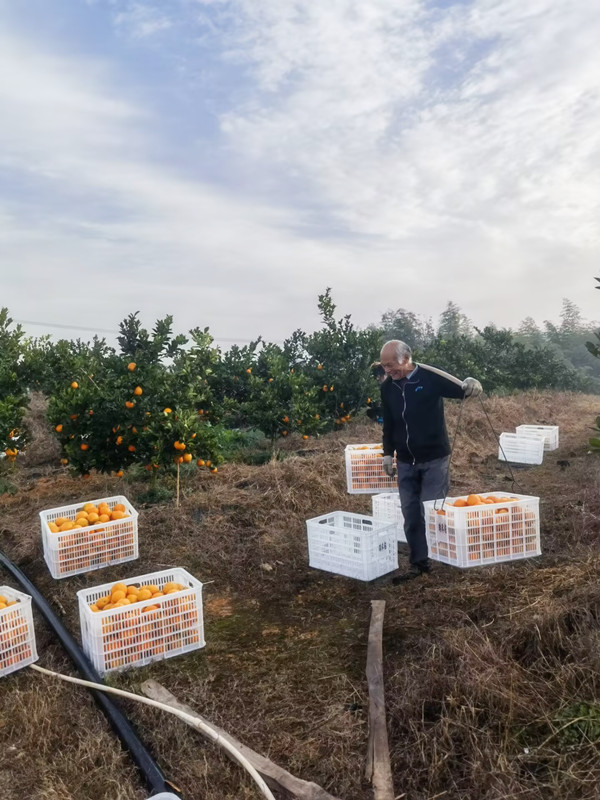 1701835321748066.jpg QQ圖片20231206115712.jpg