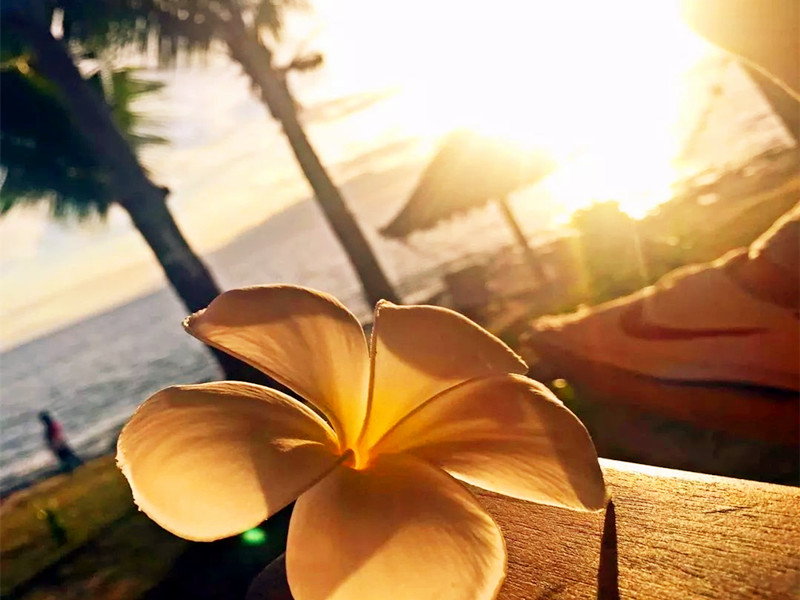 1701922522181527.jpg 02.jpg