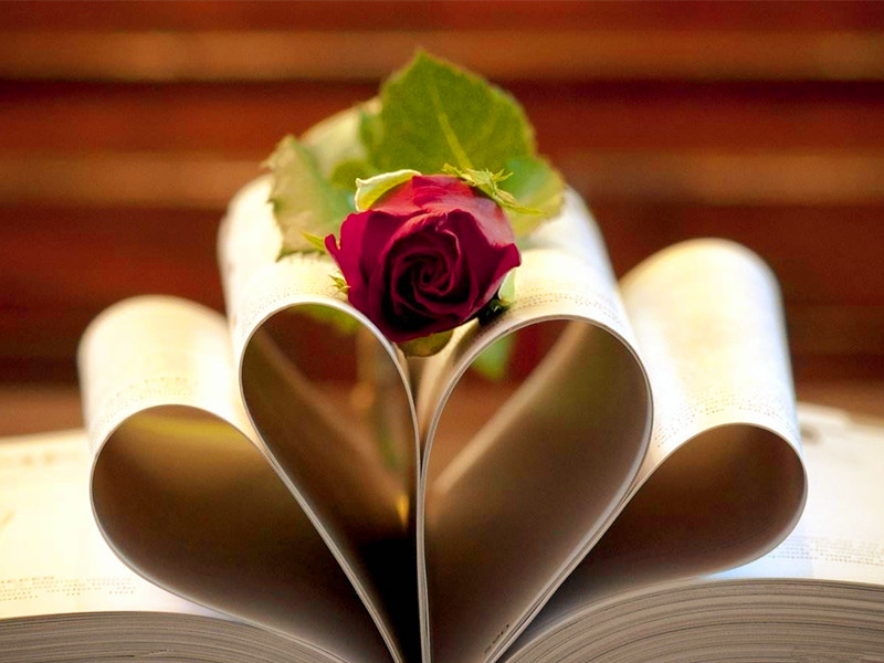 1704513249289219.jpg 02.jpg