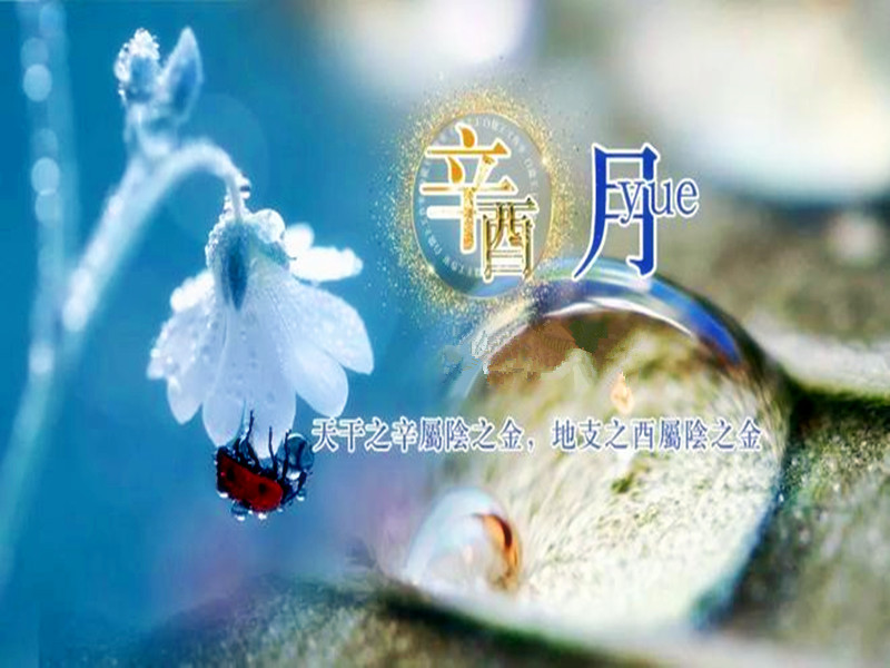 1704524654207682.jpg 93.jpg